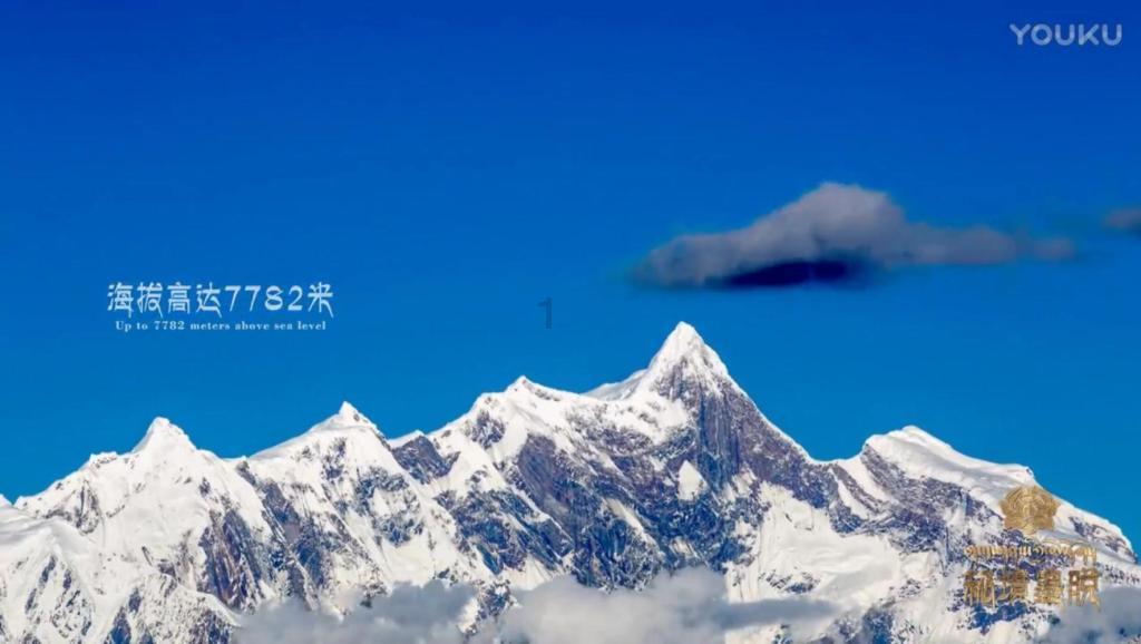 摩娜时尚博客
